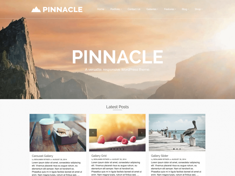 Pinnacle 1.6.5 1.jpg