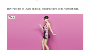Pinterest Pin It Button On Image Hover And Post 2.6.5 1.jpg