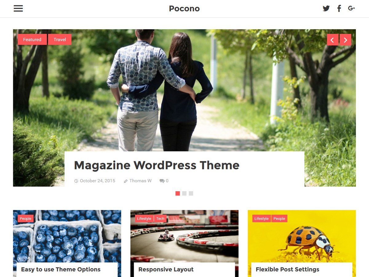 Download Pocono 1.4.2 – Free WordPress Theme