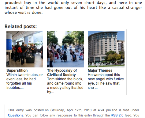 Related Posts Thumbnails Plugin for WordPress 1.6.5 1.jpg