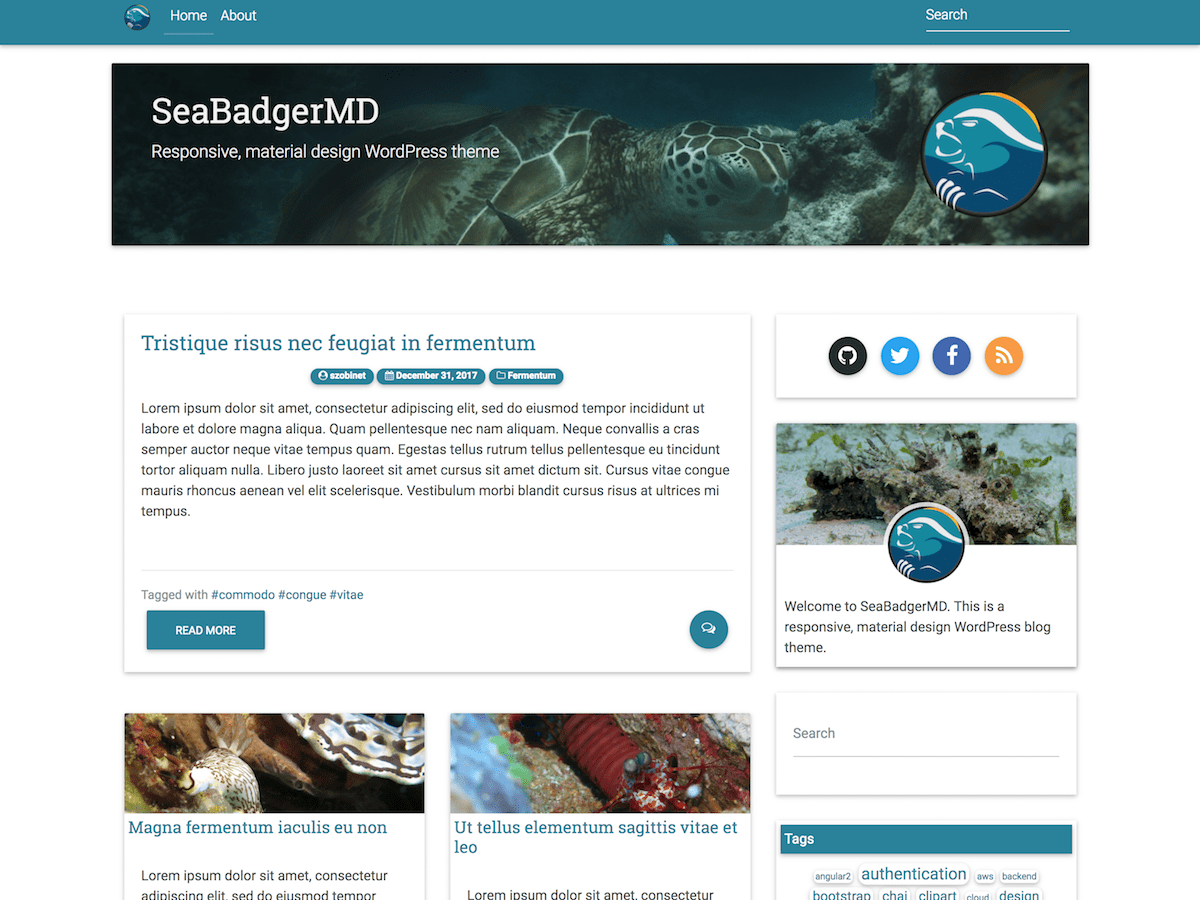 Download SeaBadgerMD 1.1.4 – Free WordPress Theme