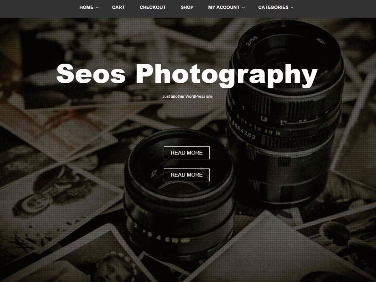 Download Seos Photography 1.2.5 – Free WordPress Theme