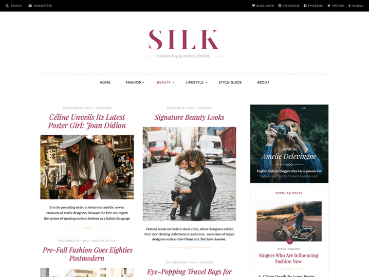 Silk Lite 1.2.9 1.jpg