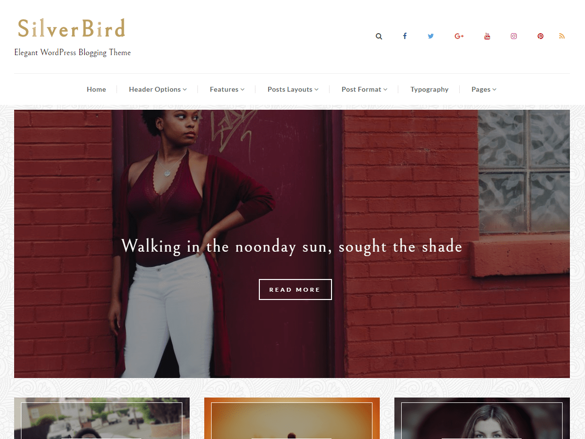 Download SilverBird 1.0.4 – Free WordPress Theme