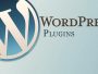 Simple 301 Redirects – Addon – Bulk Uploader 1.2.3 1 3