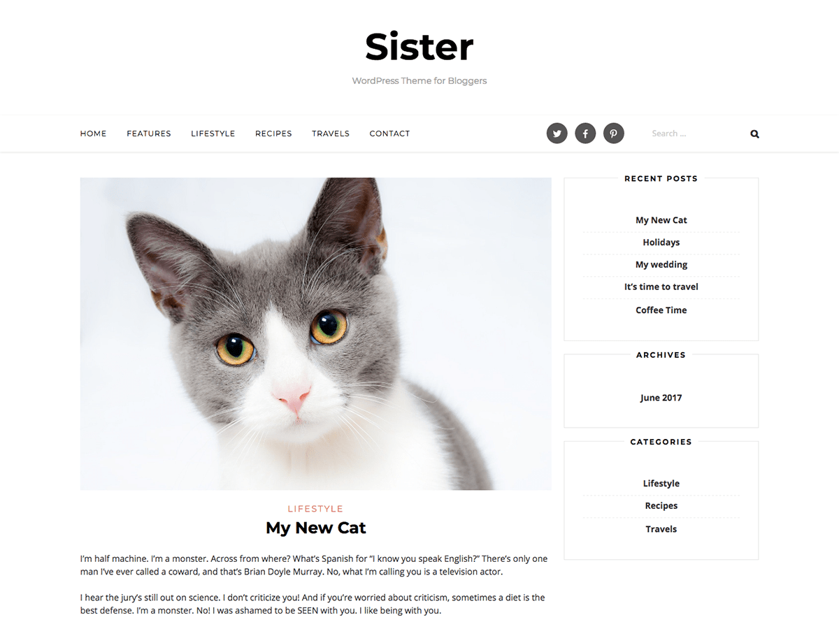 Download Sister 1.0.7 – Free WordPress Theme