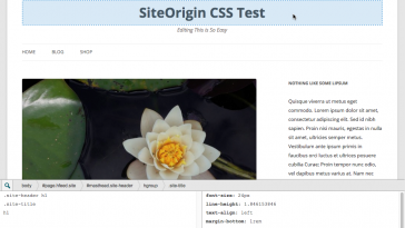 SiteOrigin CSS 1.2.3 1.jpg