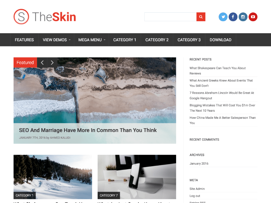 Download Skin 0.8.6 – Free WordPress Theme