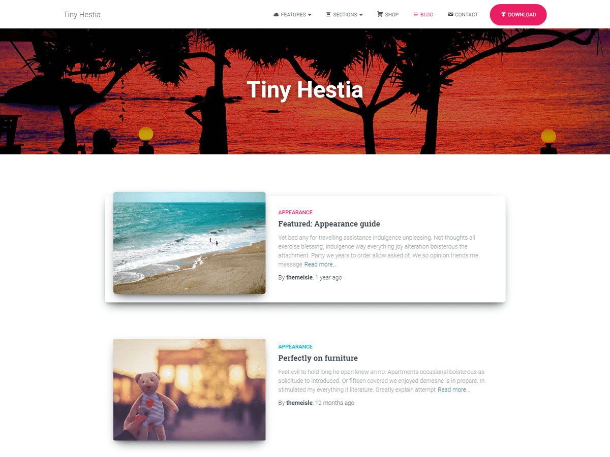 Download Tiny Hestia 1.0.9 – Free WordPress Theme