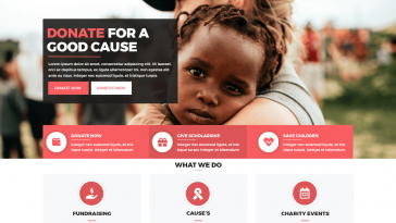 VW Charity NGO 0.2 1.jpg