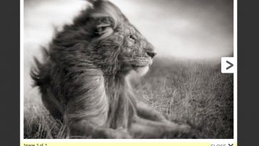 WP Lightbox 2 3.0.6.2 1