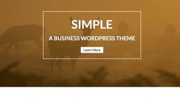 WP Simple 2.1.0 1