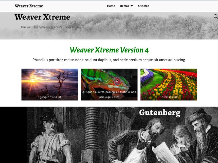 Weaver Xtreme 4.0.9 1