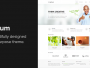 Download Astrum v.3.0.3 - Responsive Multi-Purpose WordPress Theme Free