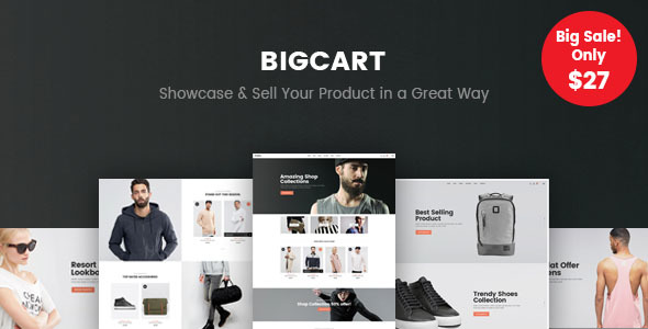 Download Bigcart v.3.4.4 - Clean, Modern WordPress Theme for WooCommerce Free