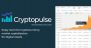 Download CryptoPulse The Real-Time Market Capitalization – Free WordPress Plugin