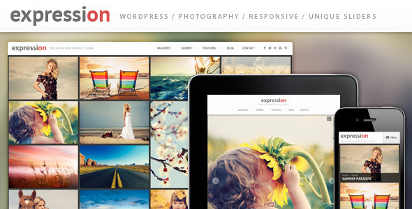 Download Expression - Photography Responsive WordPress Theme Free