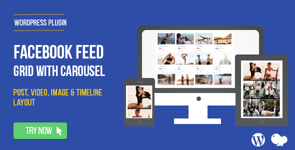 Download Facebook Feed : Post, Photo,Video and Timeline for WordPress  - Free Wordpress Plugin