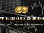 Download FAT Coincap Cryptocurrency WordPress Plugin - Free Wordpress Plugin