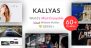 Download KALLYAS – Creative eCommerce Multi-Purpose WordPress Theme Free