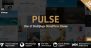 Download Pulse v.5.5.1 - Premier WordPress Theme Free