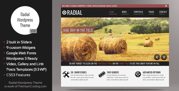 Download Radial - Creative Blog & Portfolio Wordpress Theme Free