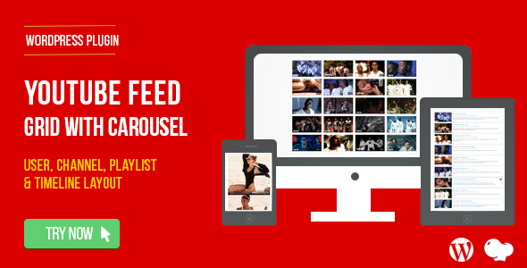 Download YouTube Feed : User, Channel and Playlist for WordPress  - Free Wordpress Plugin